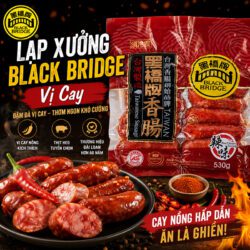 Lap xuong Black Bridge vi cay