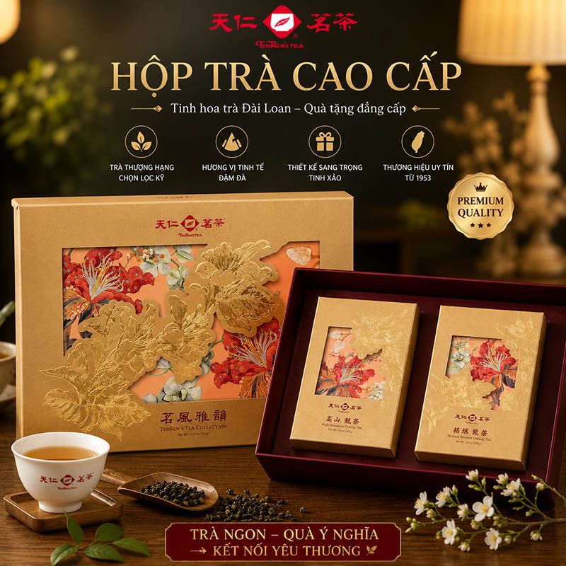 Hop tra Ming Phong Nha Van